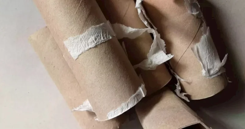 Hamı zibilə atır, amma belə istifadə etmək olur