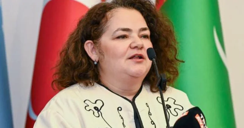 Selcan Sağlık: Türk dünyasını anlamaq onun tarixi, dili və mədəni yaddaşından başlayır