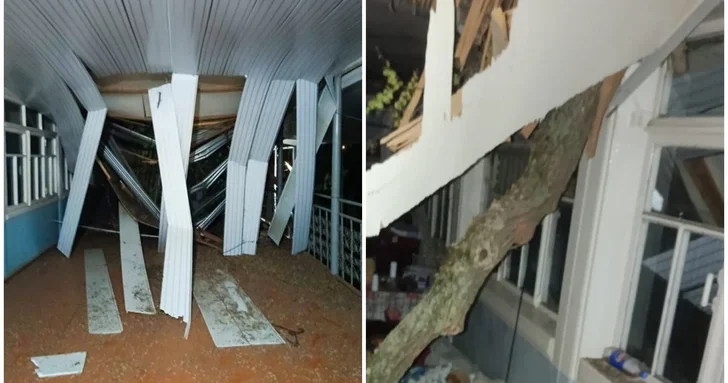 В Масаллы семья с онкобольным осталась без крыши над головой после падения 200 летнего вяза