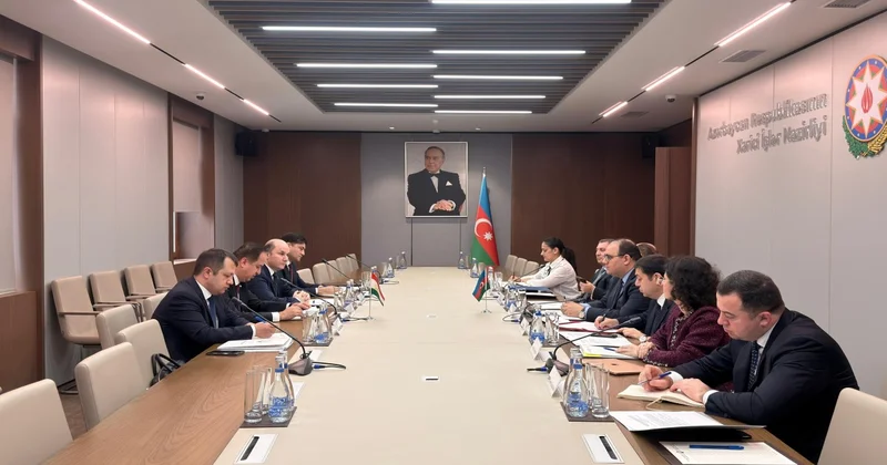 Azərbaycan və Tacikistan arasında konsulluq məsləhətləşmələri keçirilib FOTO