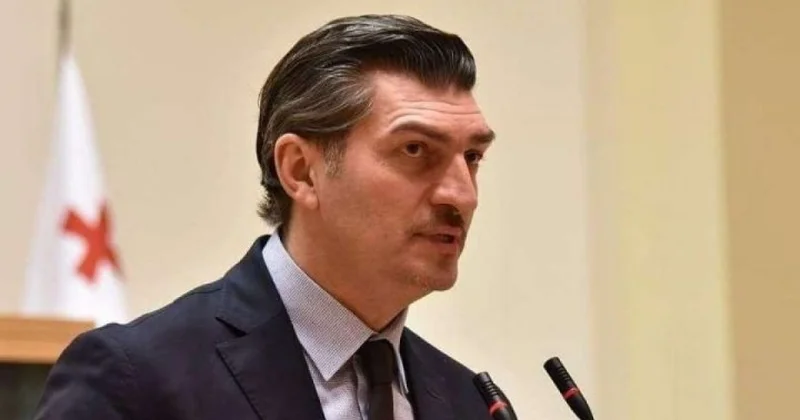 Kavelaşvili: Cənubi Qafqaza maraq artır