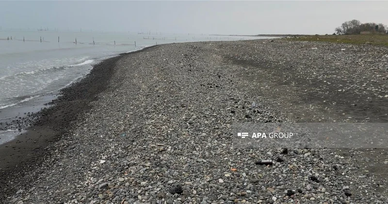 На побережье Лянкярана зафиксированы скопления мазута ФОТО