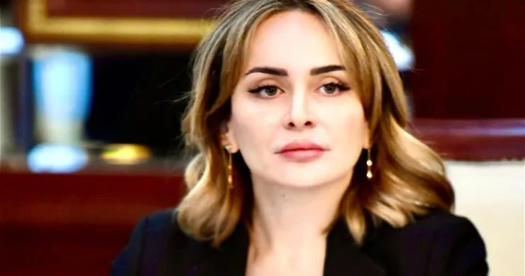 Deputat: Hibrid təhdidlər media resurslarına kiberhücumlar şəklində də özünü göstərməkdədir