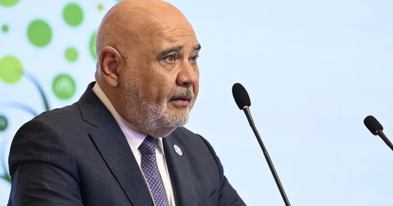 Nabil Gangi: COP29 zamanı qəbul edilmiş qlobal iqlim öhdəliklərini qida sistemlərinə gətirməyin vaxtıdır