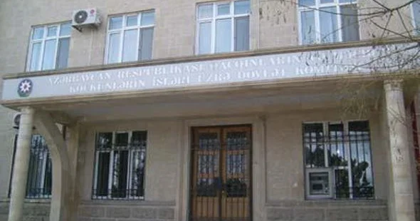 Dövlət Komitəsi “Konstitusiya və Suverenlik İli” çərçivəsində ağacəkmə aksiyası təşkil edib