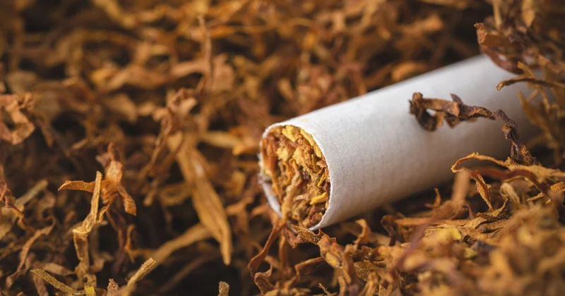 Azərbaycanın tütün ixracından gəliri 15% azaldı