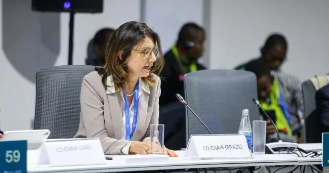 Секретарь Бразилии по климату рассказала о защите лесов Амазонии и COP29