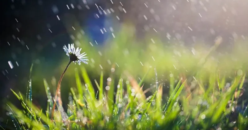 Şənbə gününün hava proqnozu açıqlandı