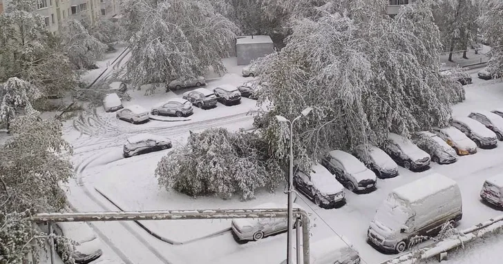 Снежный циклон парализовал электроснабжение в Московской области