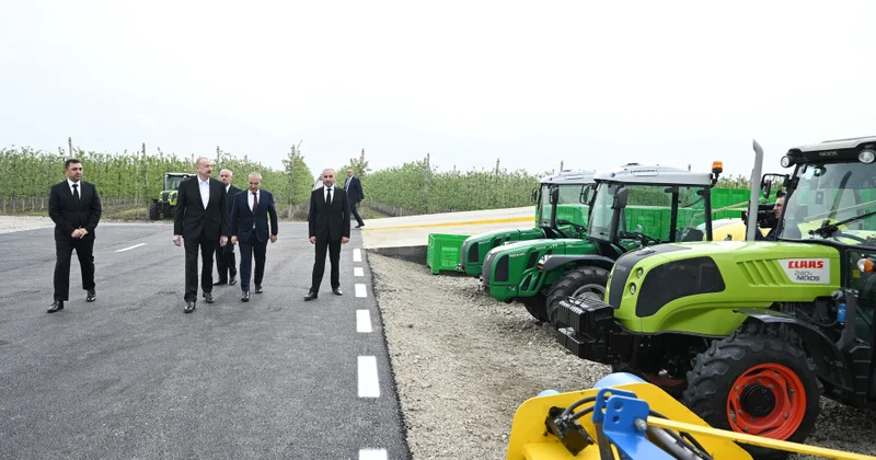 Regional inkişafa güclü dəstək