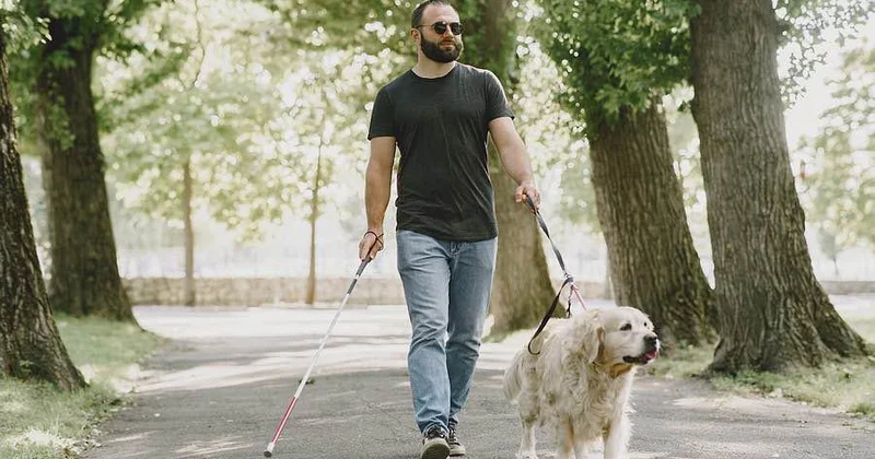 Anadangəlmə görmə qüsuru olan insanlar şizofreniyadan əziyyət çəkmirlər