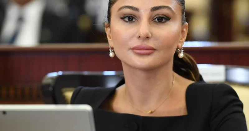 Bu qərar vəkillərin əməyinin daha ədalətli qiymətləndirilməsinə imkan verəcək