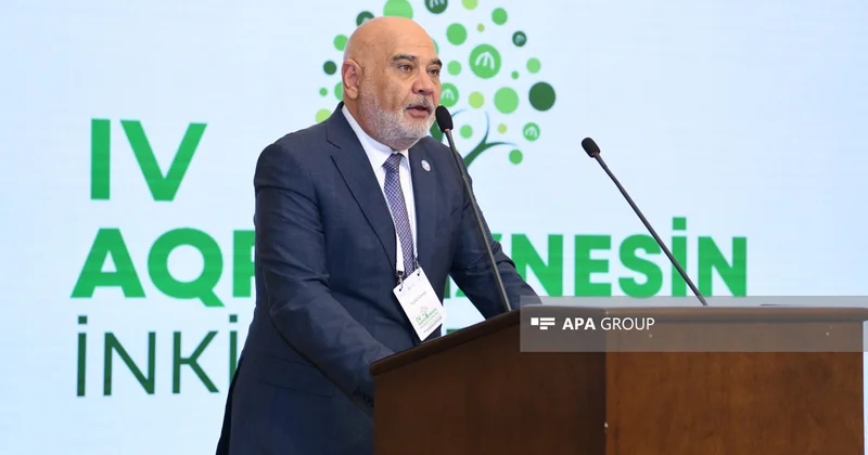 FAO: Azərbaycanda aqrar sahədə yeni innovasiyaların tətbiqi nəticə verir