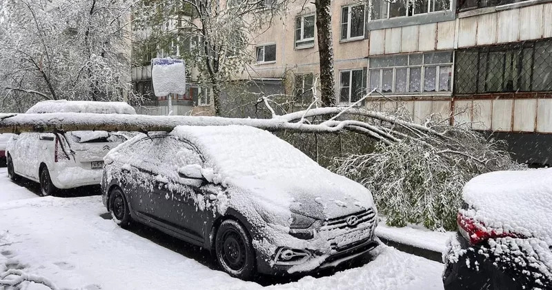 Аномальный снегопад в Подмосковье оставил без света более 26 тысяч человек