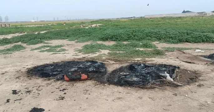 Quşçuluq fermasından dəhşətli əməl: İçalatı təkərlərə yığıb yandırırlar VİDEO, FOTO