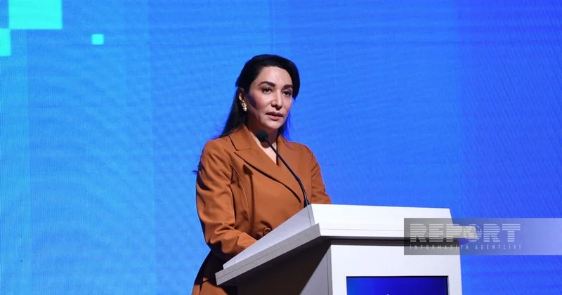 Yeni media mühiti formalaşdırmaqdadır Ombudsman