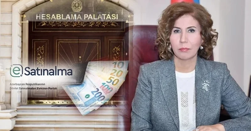 Hesablama Palatası Bahar Muradovanın komitəsini yoxlayır