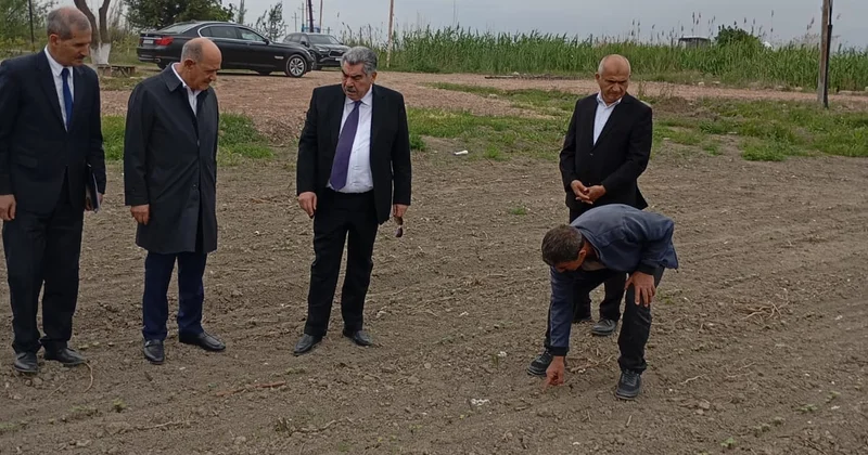 İcra başçısı pambıq əkini sahələrində FOTO