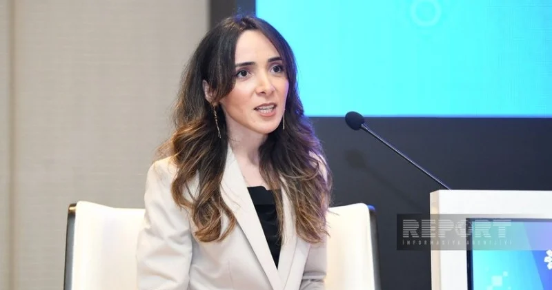 Bakıda “Konstitusiya və Suverenlik İlində media gündəmi” müzakirə olunub