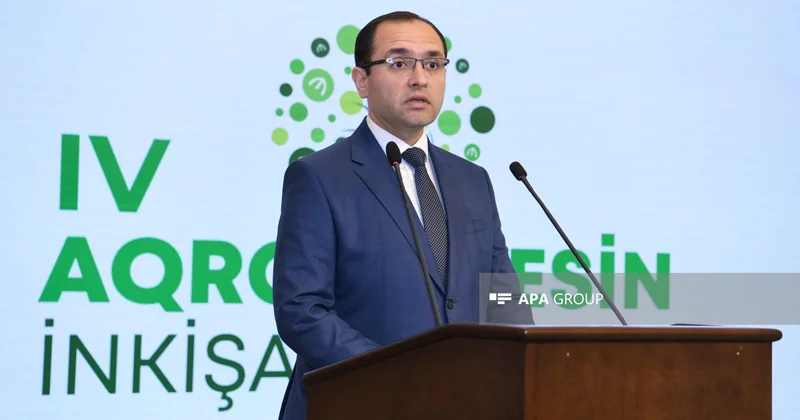 Nazir: Ötən il Azərbaycanda fermerlərə 362,5 mln. manat subsidiya ödənilib