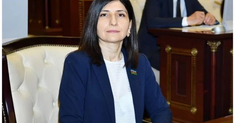 “Media resurslarına kiberhücum Fransa tərəfindən həyata keçirilmişdi.” Deputat