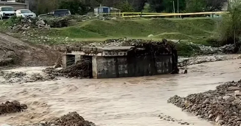 Вода смыла мосты: МЧС Казахстана эвакуировало десятки человек Видео