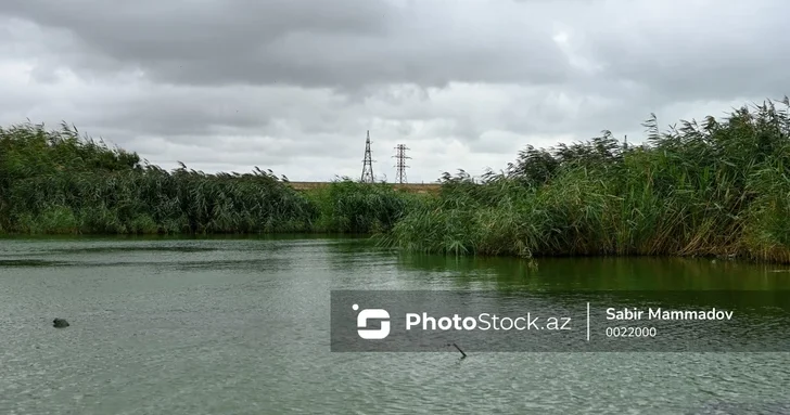 Пропавшего жителя бакинского поселка нашли мертвым в озере