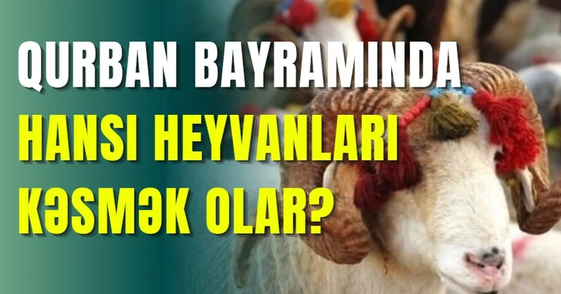 Qurban bayramında hansı heyvanları kəsmək olar?