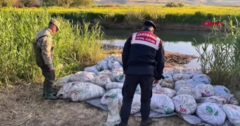 22 ton 475 kiloqram inci kefalı qanunsuz ovlandı