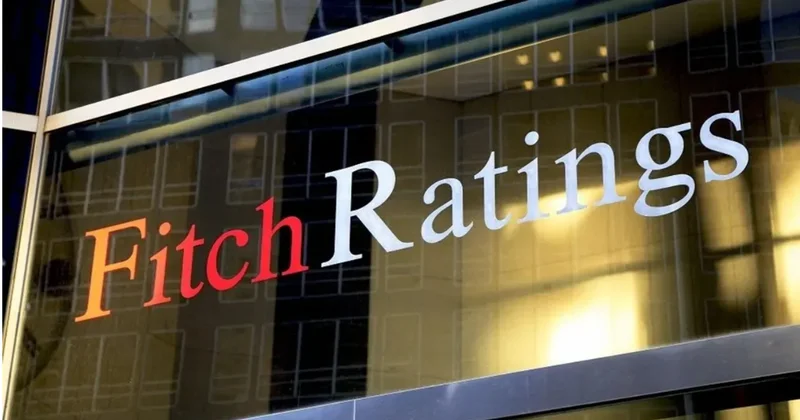 Fitch Gürcüstanın kredit reytinqini təsdiqləyib