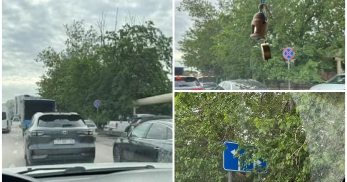 Bu kəsişmədəki yol nişanı ağacın yarpaqları ilə örtülüb Sürücülər çətinlik çəkir FOTO