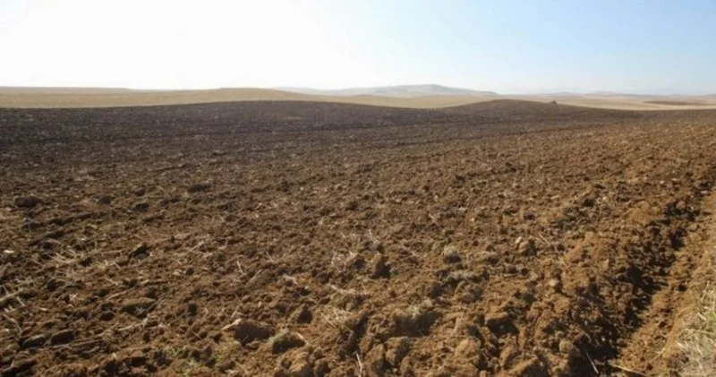 Azərbaycanda növbəti torpaq hərracları elan edilib