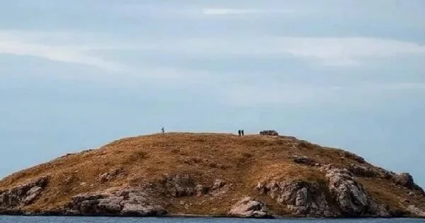 ABŞ açıqladı: Azərbaycan yaxınlığında Kabus ada Foto