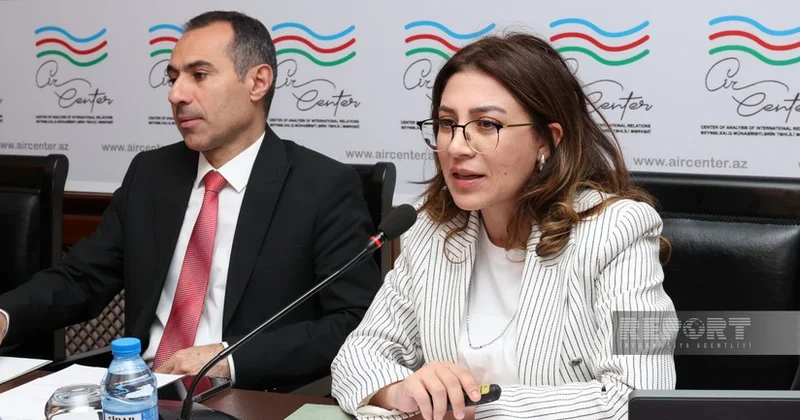 Дамла Ташкын: Есть силы, не желающие объединения тюркского мира