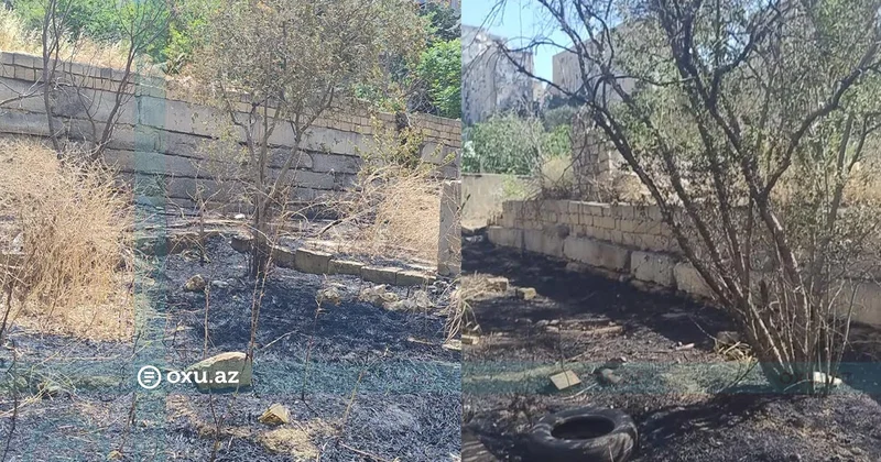 Bakıda yaşıllıq sahəsinə altıncı dəfə od vurublar?