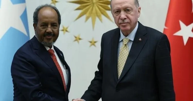 Türkiyə və Somali prezidentləri terrorla mübarizəni müzakirə ediblər