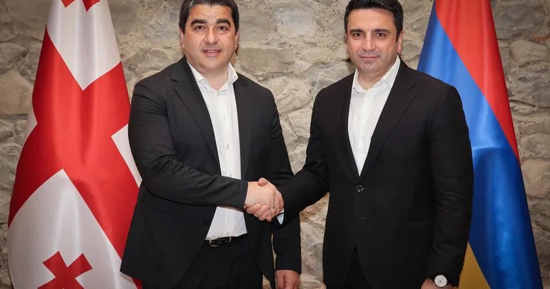 Gürcüstan və Ermənistan spikerləri regional məsələləri müzakirə etdilər
