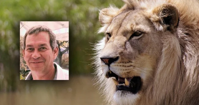Safaridə iş adamını şir PARÇALADI
