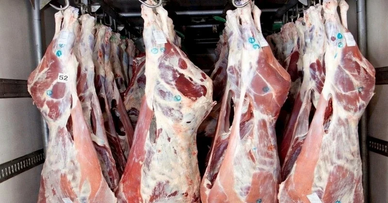 Yağışlar ət bazarını da vurdu Bahalaşma olacaq