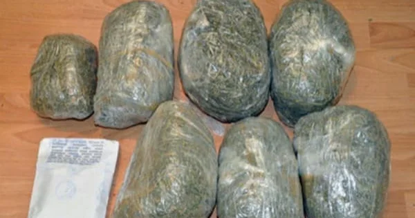 Kahı adı ilə daşınan yükdə külli miqdarda narkotik aşkarlandı