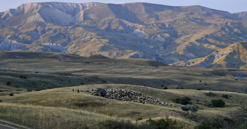 Lahıc və Qəbələ yollarında çökmələr: geodinamik proseslər monitorinq tələb edir