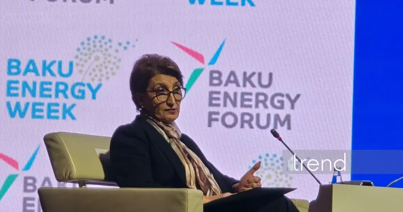 SOCAR рассматривает возможности ускорения геологоразведочных работ в Азербайджане