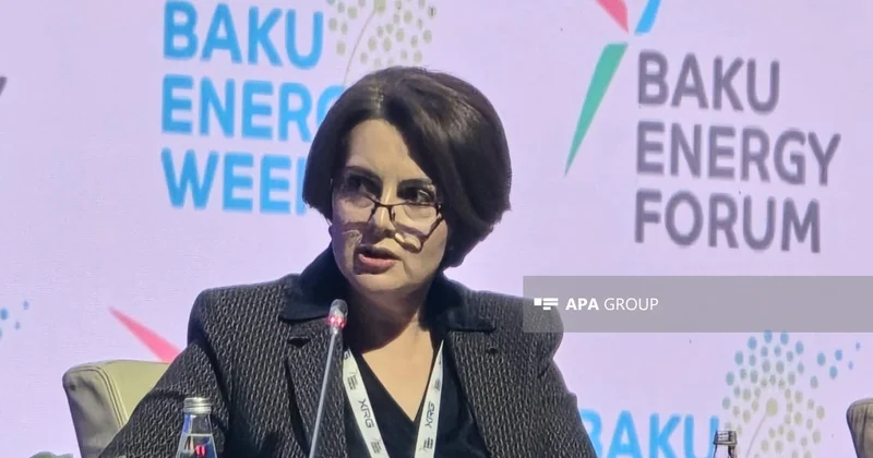 Rəna Hümbətova: Azərbaycandan Avropaya yaşıl enerji ixracı üçün vahid sertifikat sistemi lazımdır