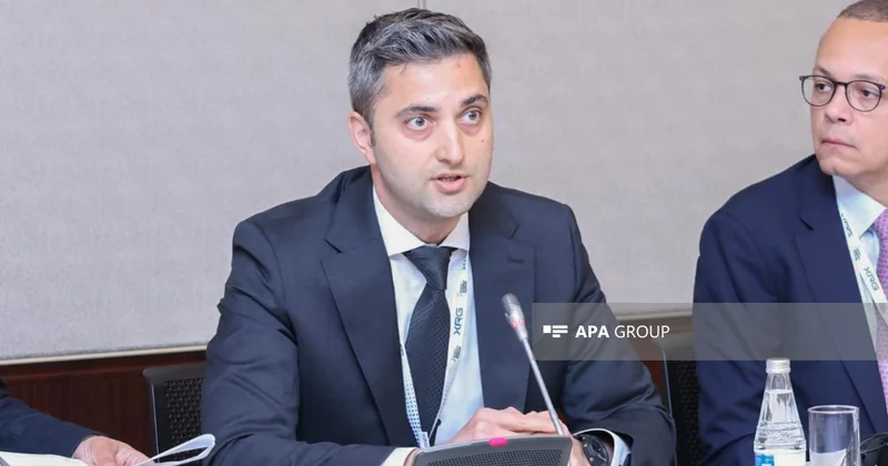 Baş direktor: Enerji səmərəliliyi Azərbaycanın əsas strateji hədəflərindən birinə çevrilib