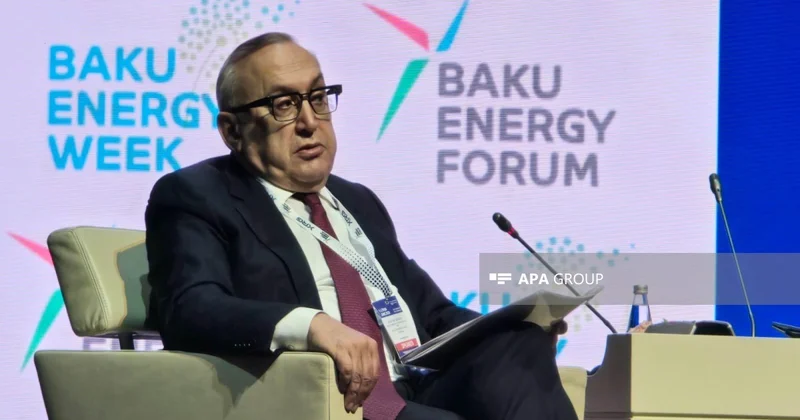 SOCAR: Bu il qaz ixrac etdiyimiz ölkələrin sayı artacaq