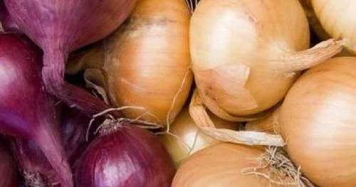 Yatmazdan əvvəl ayağınıza soğan qoysanız nə baş verər?