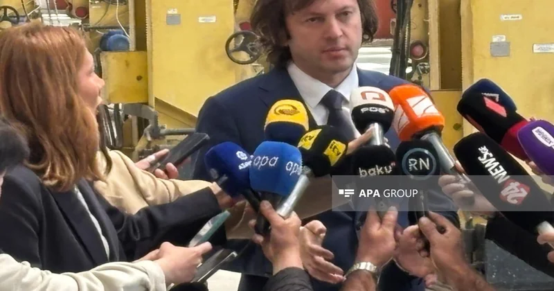 Kobaxidze: BTQ nin istismara verilməsi Gürcüstan Azərbaycan Türkiyə əlaqələrinin inkişafına daha da təkan verəcək