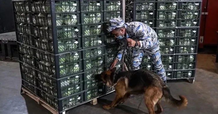 İrandan Rusiyaya kahı aparan maşından görün nələr çıxdı VİDEO