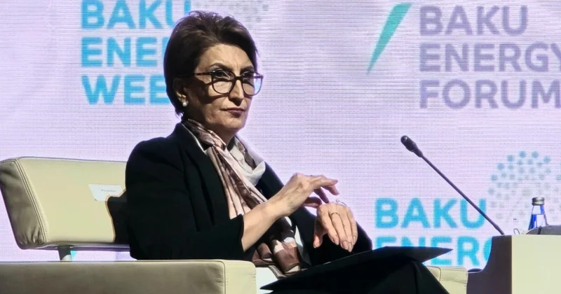 SOCAR: Xəzərdə indiyədək araşdırılmamış laylarda neft qaz axtarırıq