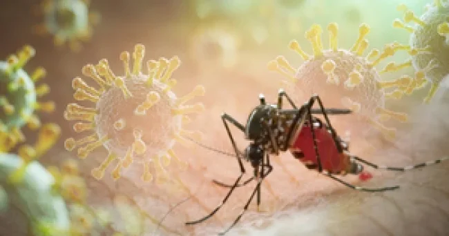 Virus Azərbaycanla sərhəddə